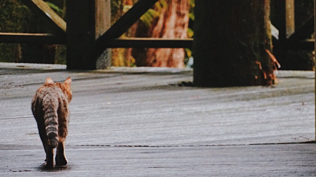 往更曬的地方去