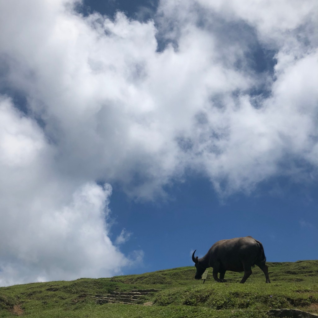 上刀山下油鍋,沒在怕的!