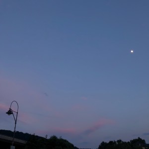 2a277470-29fb-4b57-a265-5f39154a2bda