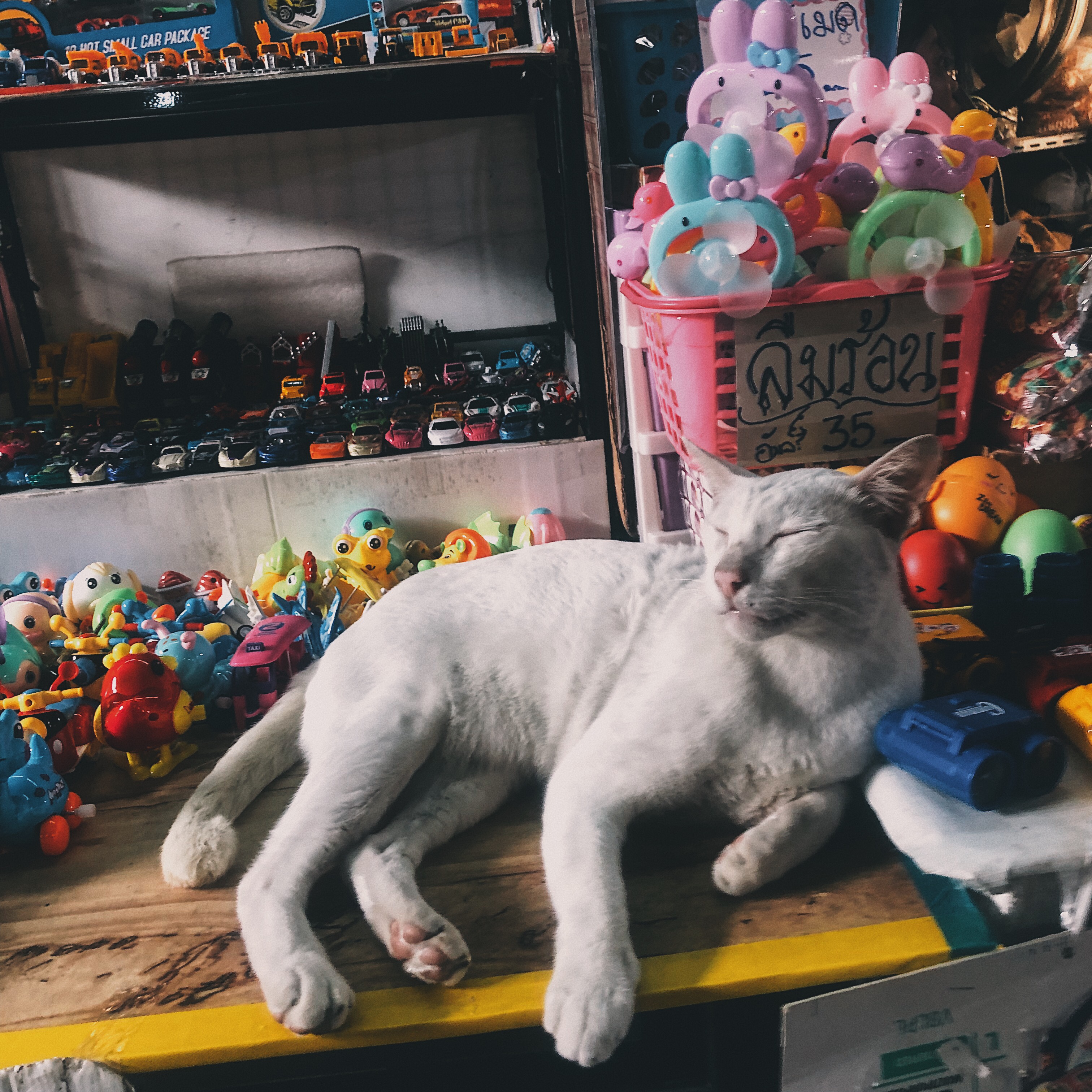 Processed with VSCO with e5 preset