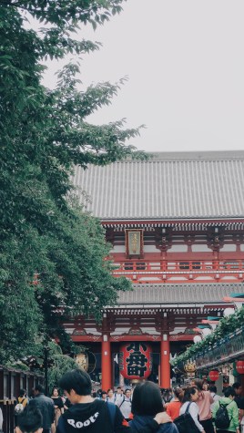 Processed with VSCO with e3 preset