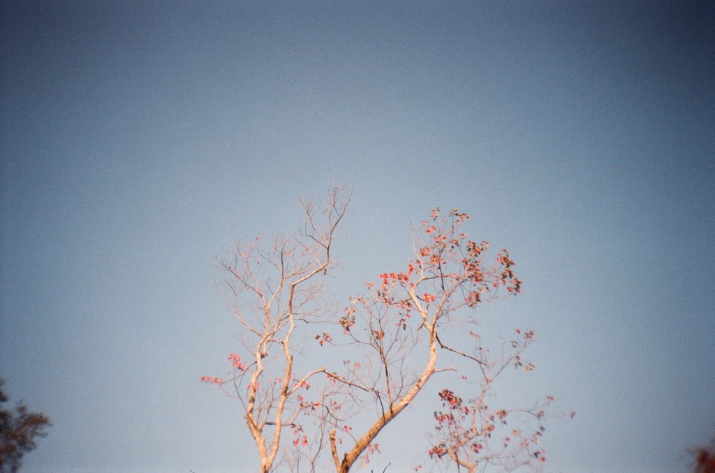 let’s talk 6/ world peace&nbsp;☮️