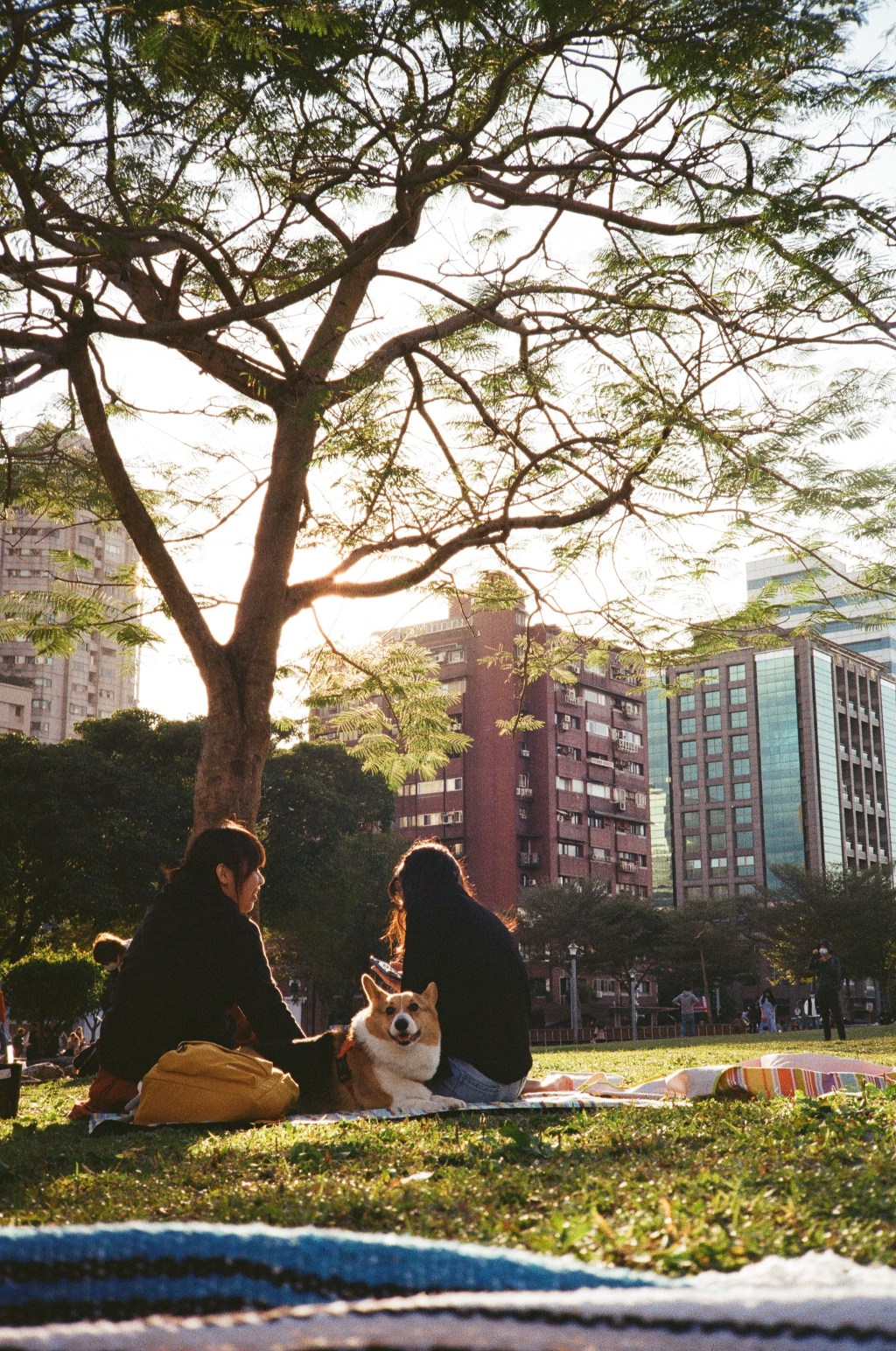 這社會怎麼了？