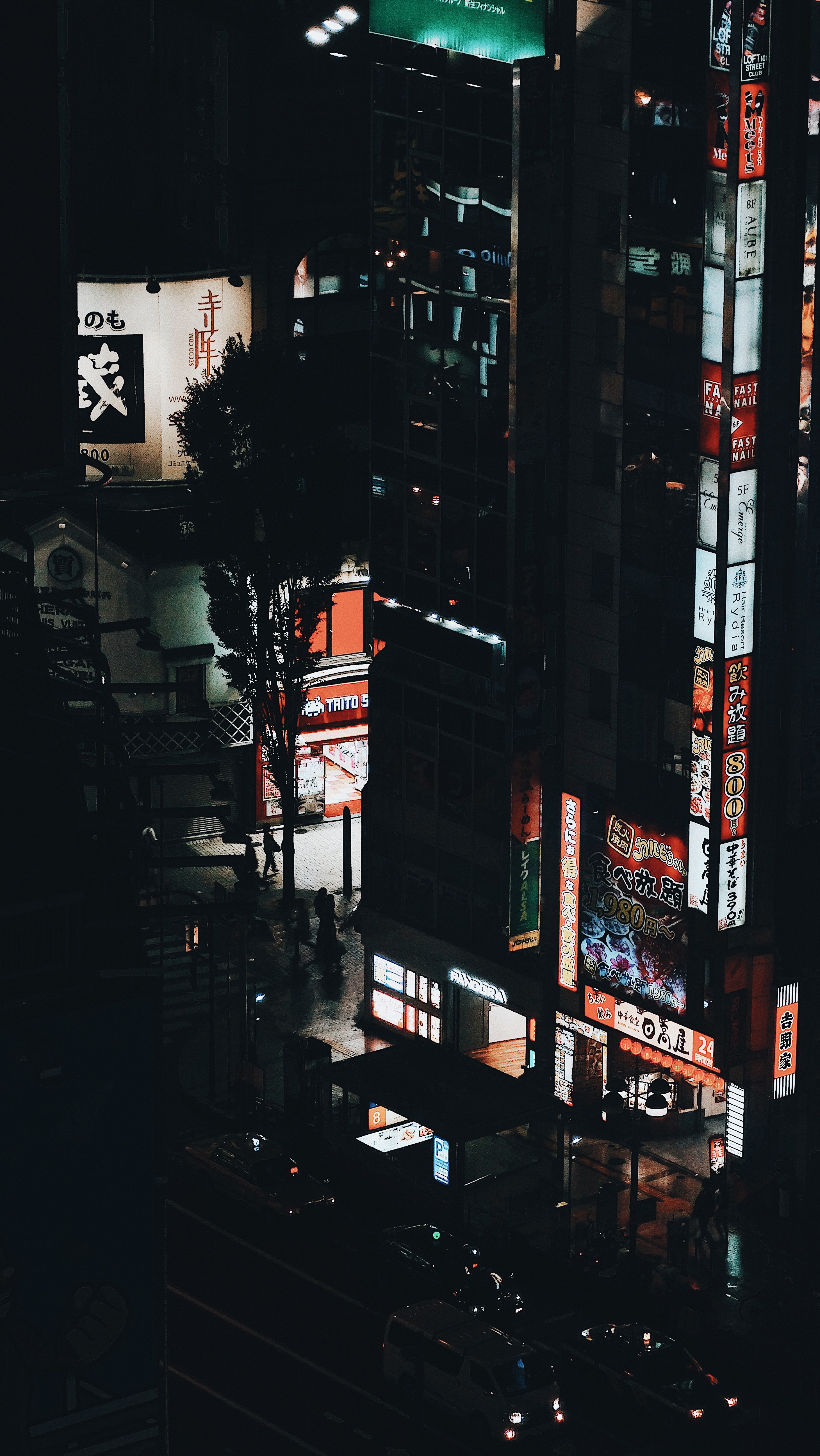 City night in Tokyo.